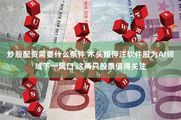 炒股配资需要什么条件 木头姐押注软件股为AI领域下一风口 这两只股票值得关注
