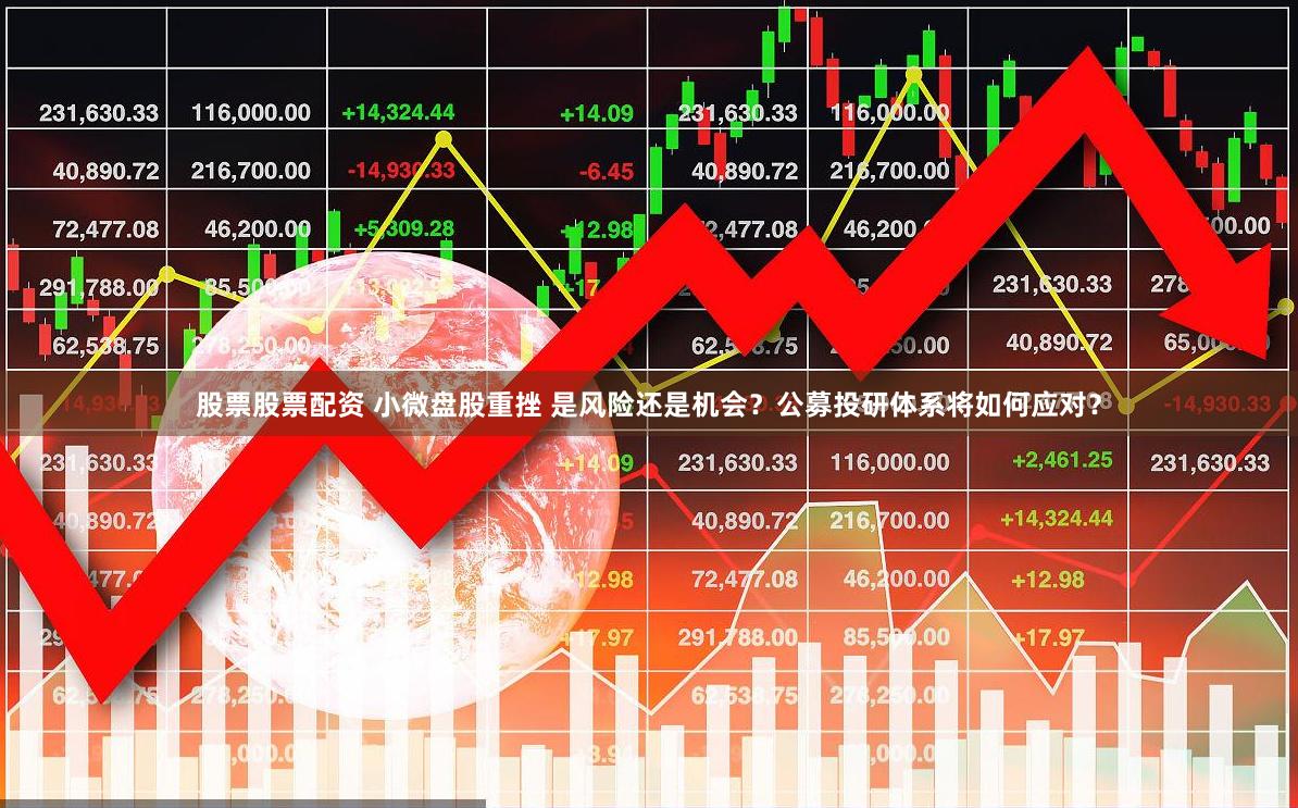 股票股票配资 小微盘股重挫 是风险还是机会?公募投研体系将如何应对?