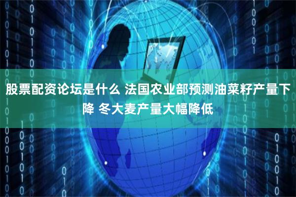 股票配资论坛是什么 法国农业部预测油菜籽产量下降 冬大麦产量大幅降低